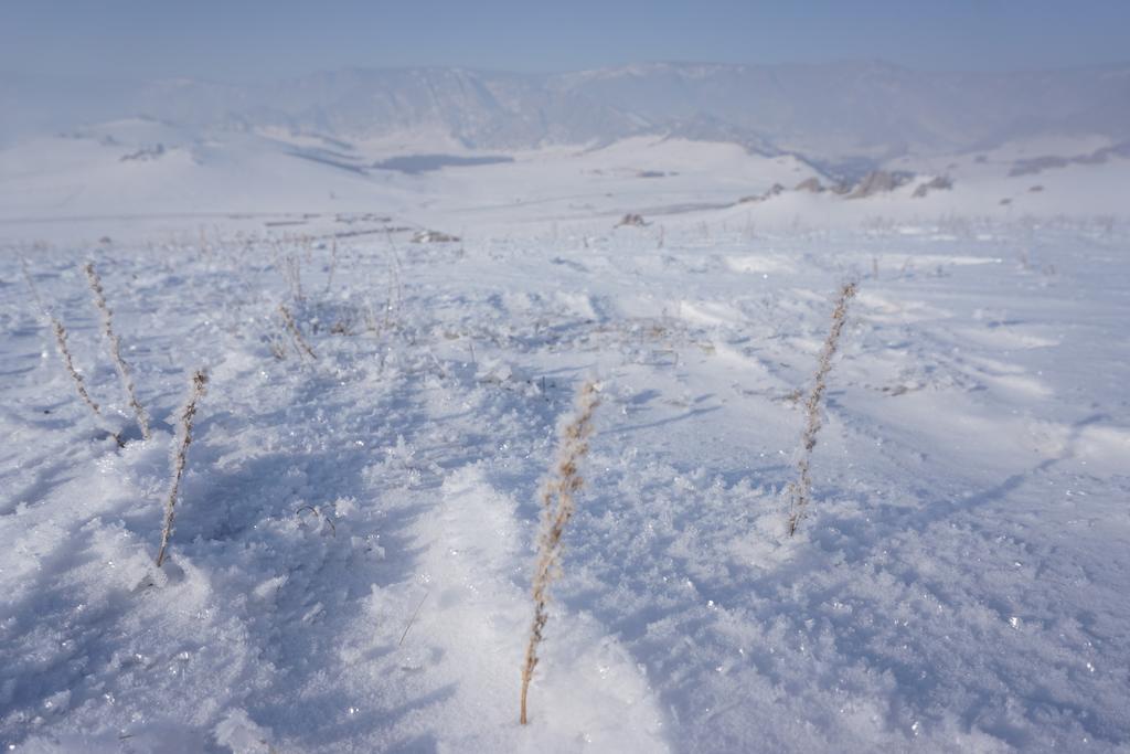 Отель My Mongolia Eco Ger Camp Nalayh Экстерьер фото
