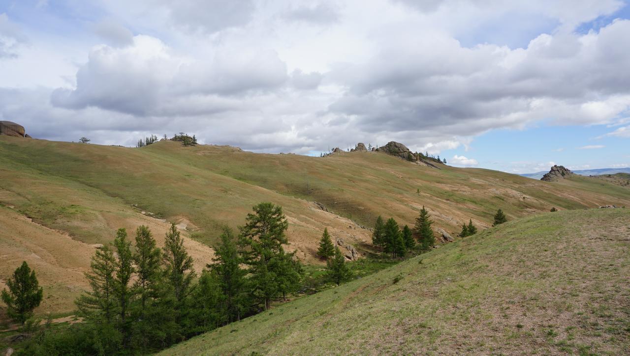 Отель My Mongolia Eco Ger Camp Nalayh Экстерьер фото