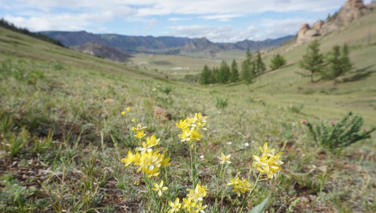 Отель My Mongolia Eco Ger Camp Nalayh Экстерьер фото